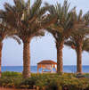 Danat Resort Jebel Dhanna 